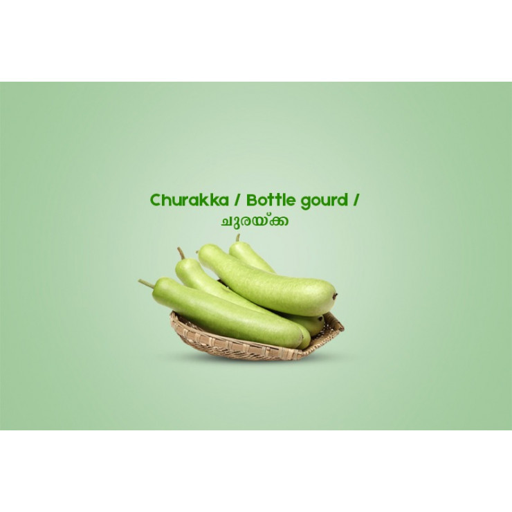 Churakka / Bottle gourd / ചുരയ്ക്ക  -500gm 